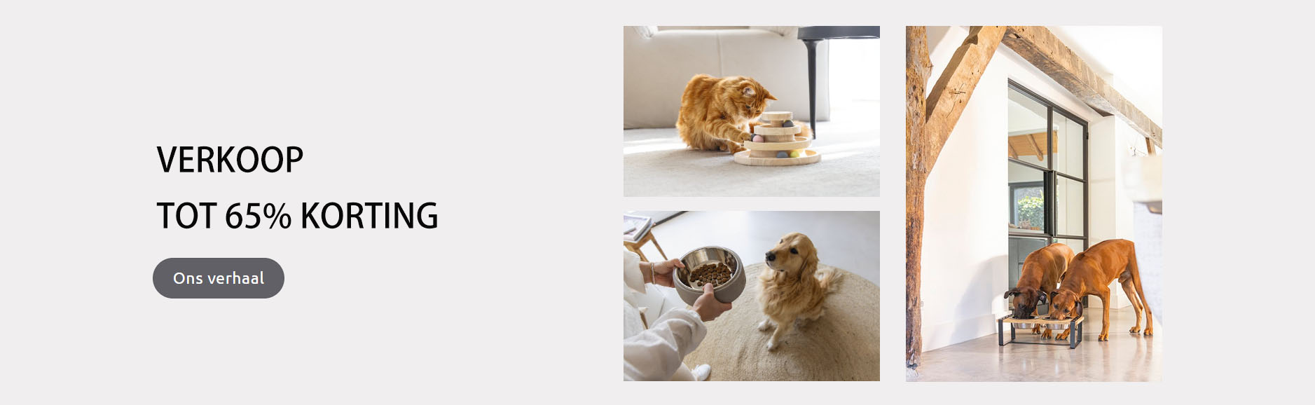 Beste Hondenspullen Winkel 10 Beste Hondenspullen Winkel -Beste Hondenspullen Winkel JFGJ